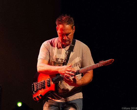 Enchant-ProgStock 2018-68