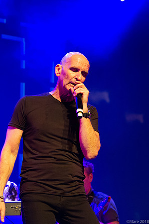 Michael Sadler-ProgStock 2018-72