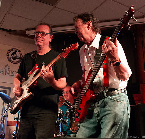 Hectic Red - Stanstock 2018-54